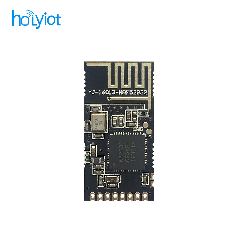 Holyiot-16013-nRF52832ģK